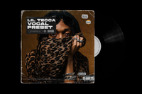 THE LIL TECCA PRESET